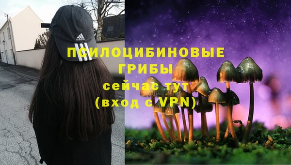 mdma Карпинск