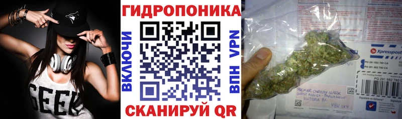 Бошки марихуана Amnesia  Купить закладки  Вологда 